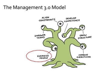 The Management 3.0 Model
 