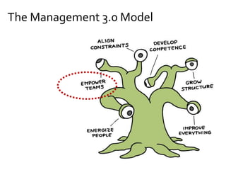 The Management 3.0 Model
 
