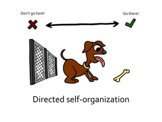 Directed self-organization
Don’t go here! Go there!
 