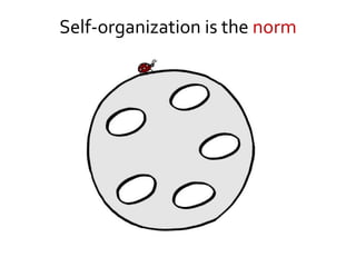 Self-organization is the norm
 