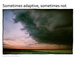 Sometimes adaptive, sometimes not
http://www.flickr.com/photos/hdr400d/
 