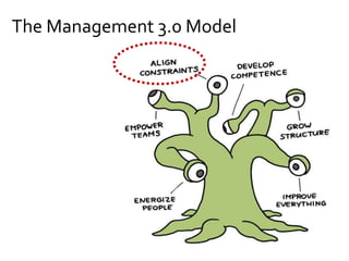 The Management 3.0 Model
 
