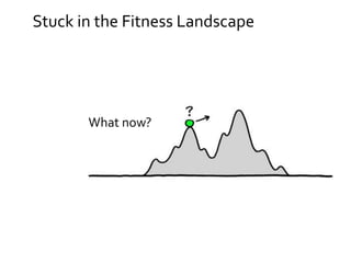 Stuck in the Fitness Landscape
What now?
 