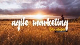 agile marketingJaka Kladnik
_digital marke,ng manager
 