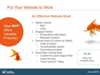 13
June 2016
Put Your Website to Work
Your MVP
(Most
Valuable
Property)
An Effective Website Must:
1. Attract visitors
• SEO
• Links
2. Engage Visitors
• Provocative Information
• Relevant Content
3. Convert them to Leads (or Sales)
• Calls to Action
• Downloadable assets
• Ecommerce engine
4. Keep them coming back
• Content for each stage of the
buyer journey
• Fresh content = Blog
Tip #4
Obey the
Goldfish Rule
 