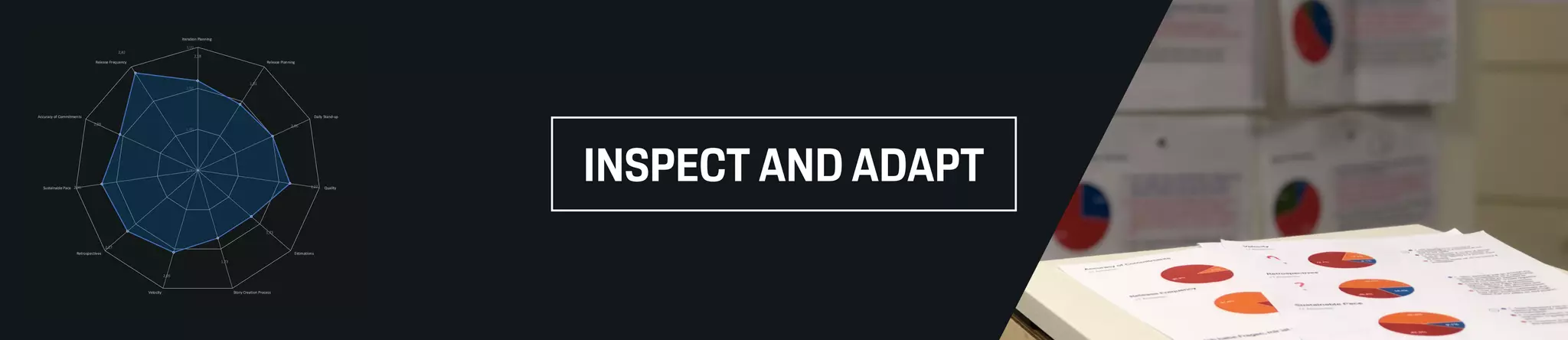 INSPECT AND ADAPT
 