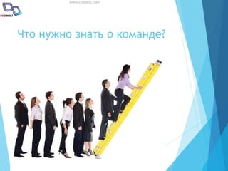 www.cmcons.com
Что нужно знать о команде?
 
