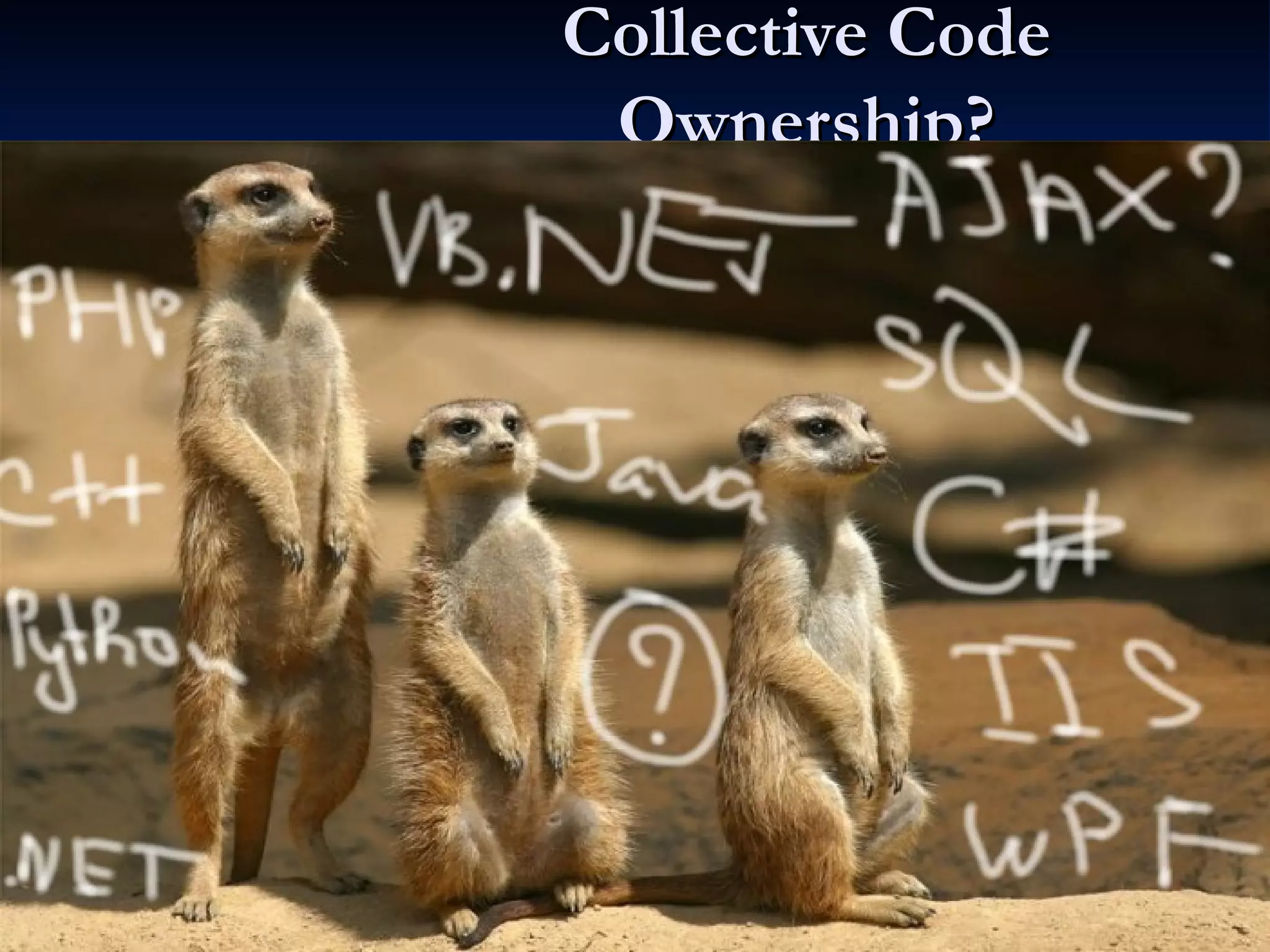 Collective Code Ownership? 