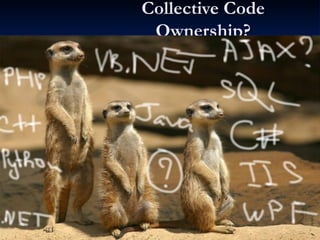 Collective Code Ownership? 