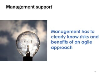 1818
Management support
Management has to
clearly know risks and
benefits of an agile
approach
 