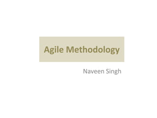 Agile Methodology

        Naveen Singh
 