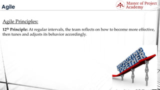 Agile
Agile Principles:
12th Principle: At regular intervals, the team reflects on how to become more effective,
then tunes and adjusts its behavior accordingly.
Visit: http://masterofproject.com for full course
 