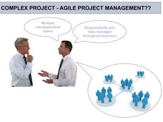 WHAT EVERY BUSINESS ANALYST SHOULD KNOW ABOUT ANALYZING COMPLEX PROJECTS
