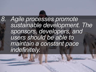 8. Agile processes promote
sustainable development. The
sponsors, developers, and
users should be able to
maintain a constant pace
indefinitely.
 