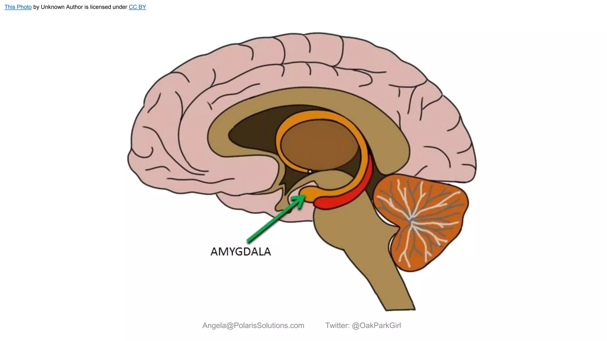 Angela@PolarisSolutions.com Twitter: @OakParkGirl
This Photo by Unknown Author is licensed under CC BY
 