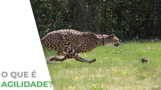 O QUE É
AGILIDADE? 23
 