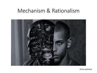Mechanism & Rationalism 
Photo:wallshark  