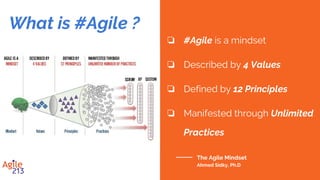 #Doing Agile
Learning the practices and applying
them without know the mindset and
principles to know when to tailor and
how to select the appropriate practices.
#Being Agile
Internalizing the Mindset, values, and
principles then applying the right
practices and tailoring them to different
situations as they arise.
Adoption
Transformation
Agile (#Doing vs #Being)
The Agile Mindset
Ahmed Sidky, Ph.D
 