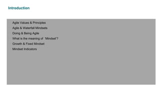 Introduction
• Agile Values & Principles
• Agile & Waterfall Mindsets
• Doing & Being Agile
• What is the meaning of ‘Mindset’?
• Growth & Fixed Mindset
• Mindset Indicators
 