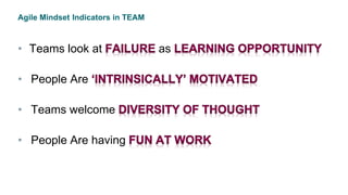 Agile Mindset Indicators in TEAM
• Teams look at as
• People Are
• Teams welcome
• People Are having
 