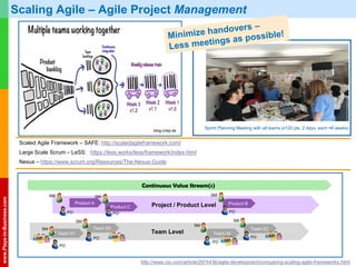 Agile Mindset For Executives | PPTX