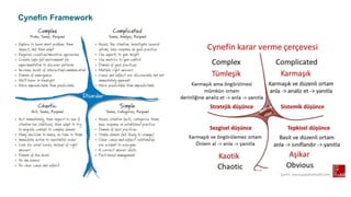 Cynefin Framework
 