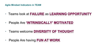 Agile Mindset Indicators in TEAM
• Teams look at as
• People Are
• Teams welcome
• People Are having
 
