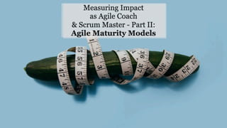 Agile MM_ Agile Maturity Models.pdf