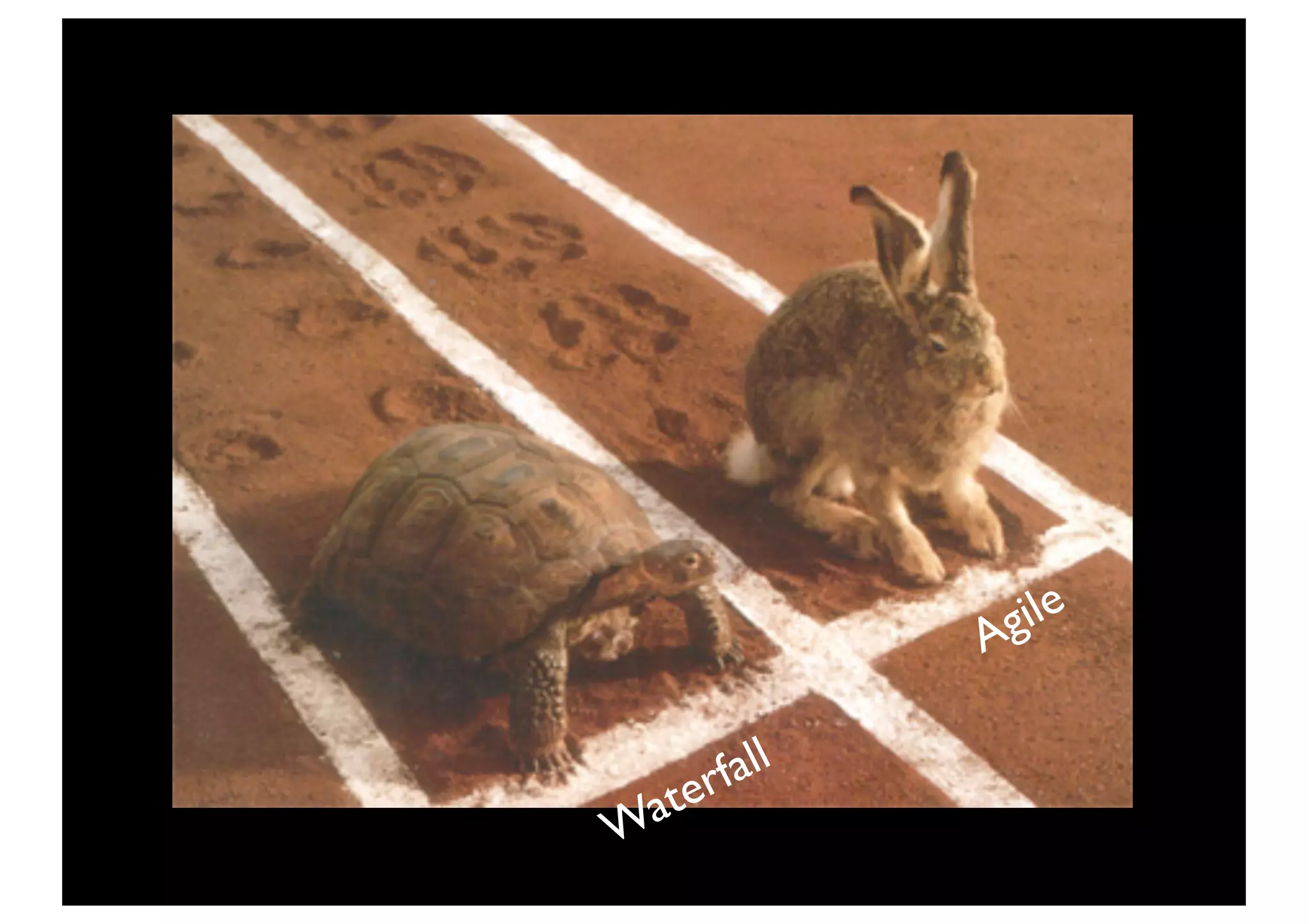 Agile


   er fall
Wat
 