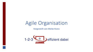 Agile Organisation
Vorgestellt von Meike Kranz
 