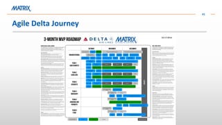 Organize for Agile Adoption and Sustainability | PDF