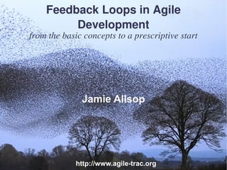 Feedback Loops in Agile
         Development
from the basic concepts to a prescriptive start




              Jamie Allsop




             http://www.agile-trac.org
 