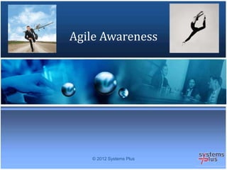 © 2012 Systems Plus
Agile Awareness
 