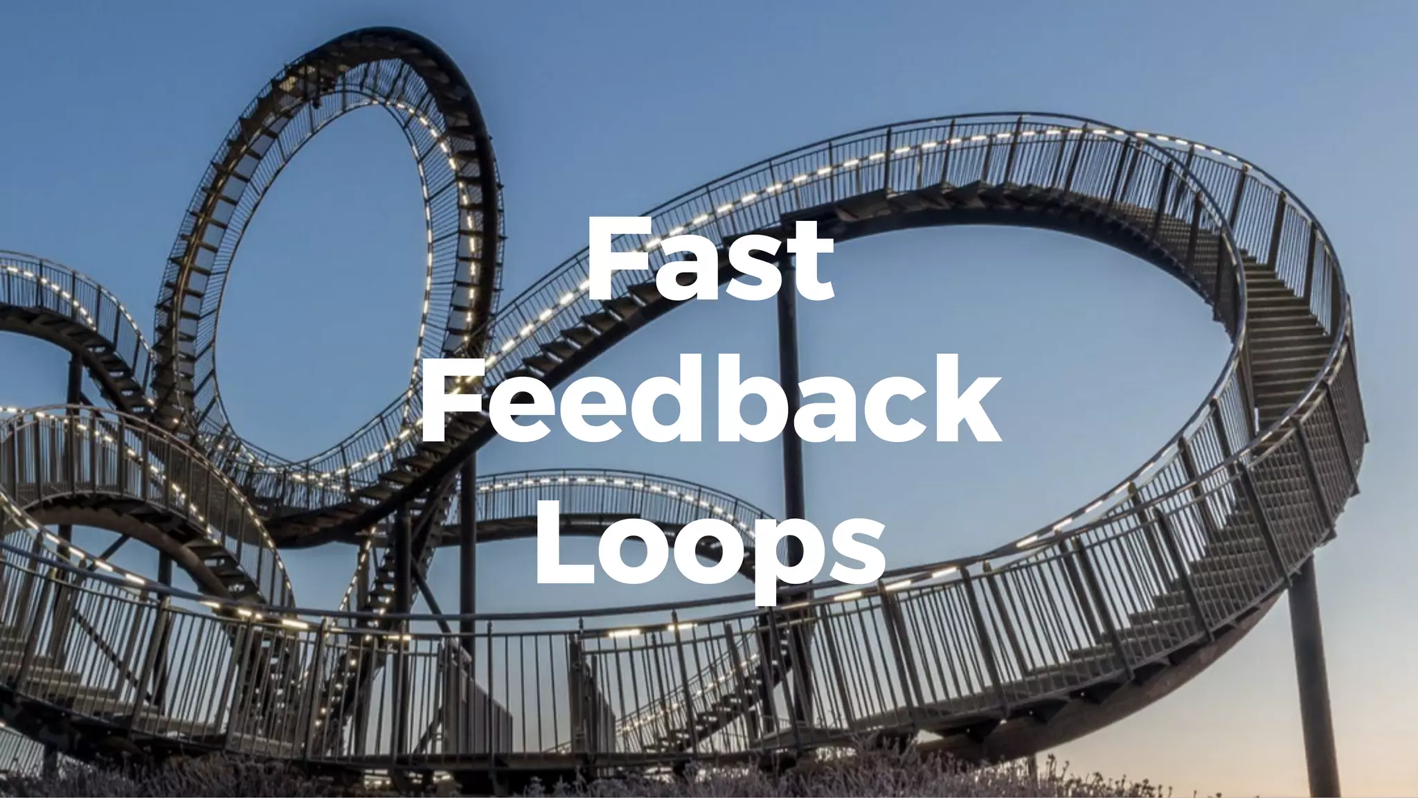 Fast
Feedback
Loops
 