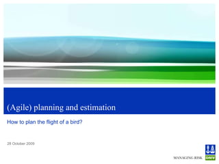 (Agile) planning and estimation How to plan the flight of a bird? 