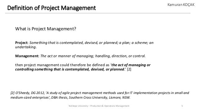 what is project management