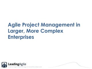 Agile Project Management in Larger, More Complex Enterprises