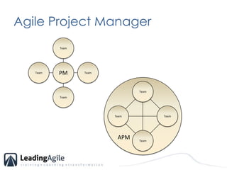 Agile Project ManagerTeamPMTeamTeamTeamTeamTeamTeamTeamAPM