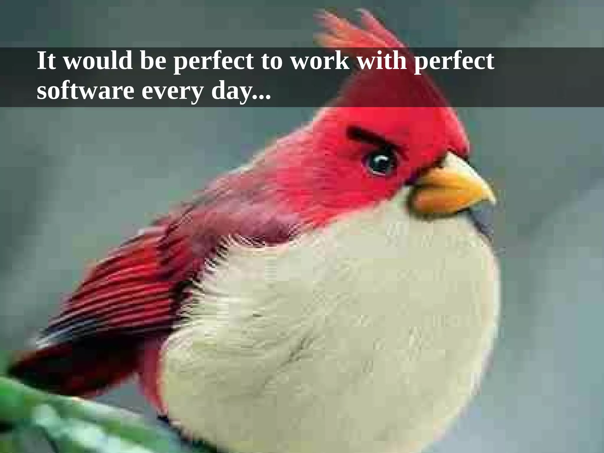 It would be perfect to work with perfect 
software every day... 
 