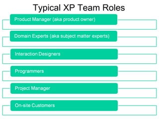 Typical XP Team Roles 