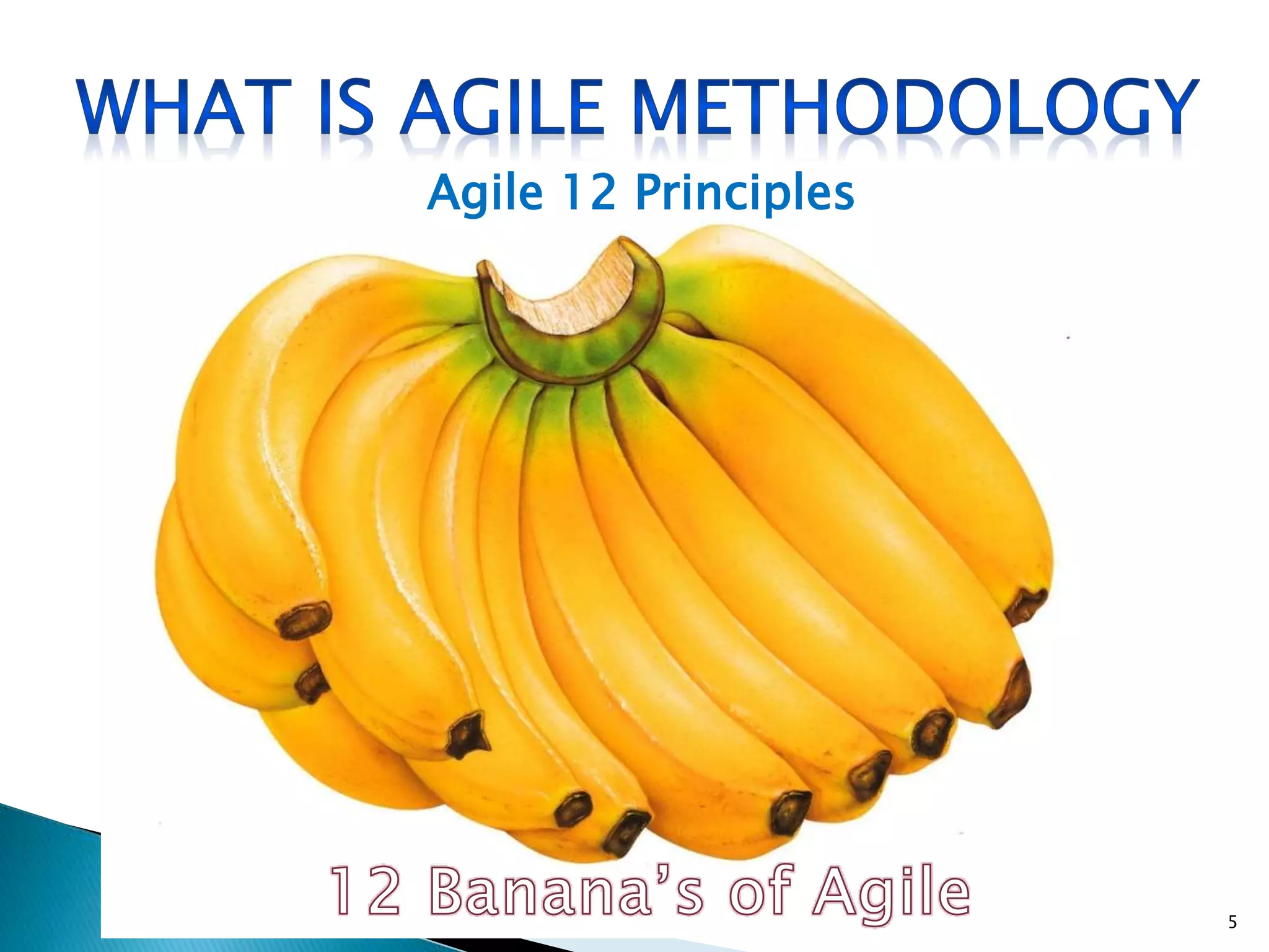 Agile 12 Principles
5
 
