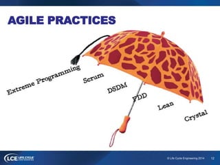 12© Life Cycle Engineering 2014
AGILE PRACTICES
 