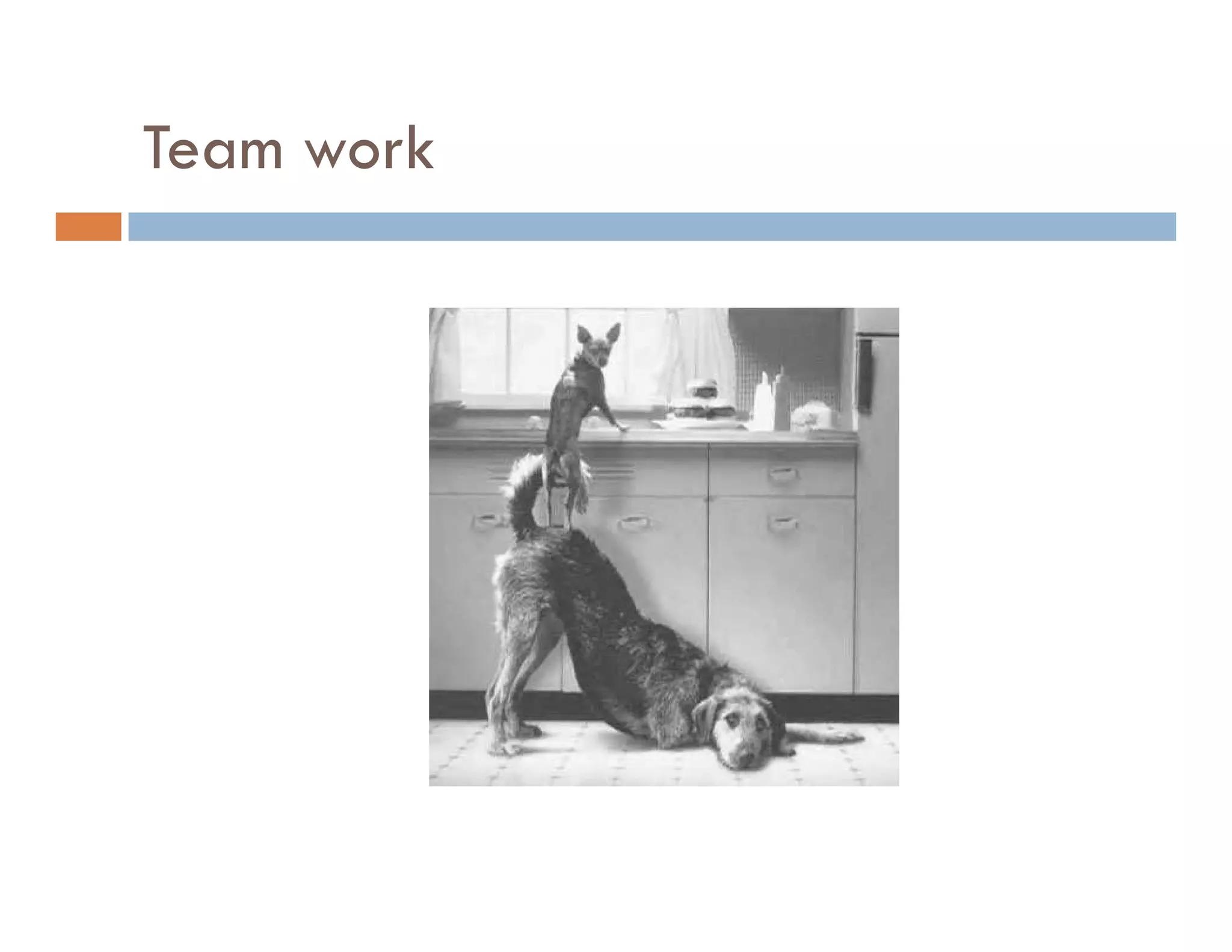 Agile Process Introduction