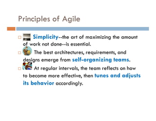 Agile Process Introduction