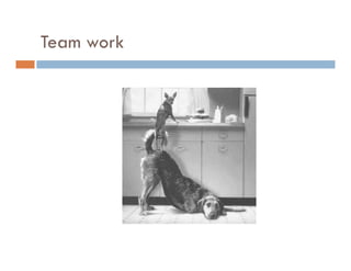 Agile Process Introduction