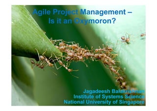 Slide 1
© 2014 NUS. All rights reserved
Agile Seminar/V 1.0
Agile Project Management –
Is it an Oxymoron?
Jagadeesh Balakrishnan
Institute of Systems Science
National University of Singapore
 