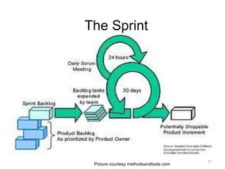 Picture courtesy methodsandtools.com The Sprint 