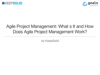 Agile Project Management: What s It and How
Does Agile Project Management Work?
by KeepSolid
 