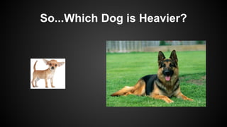 So...Which Dog is Heavier?
 