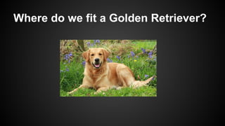 Where do we fit a Golden Retriever?
 